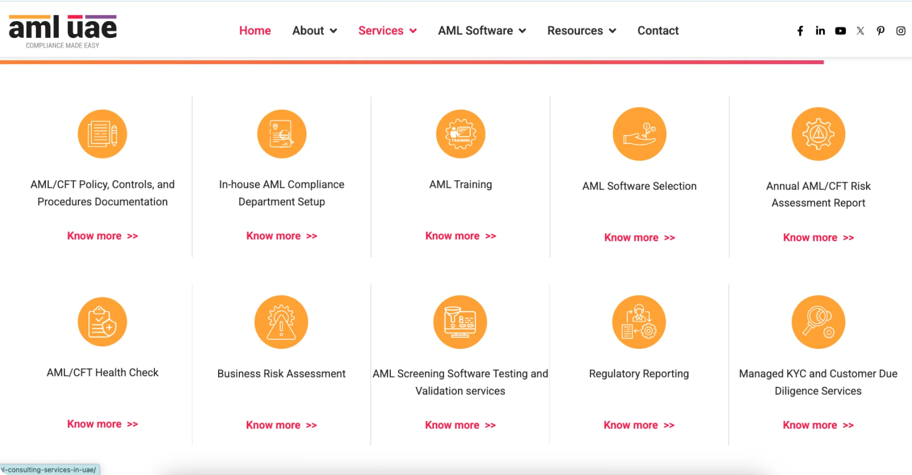 The services overview page — AML UAE's offerings structured so visitors move from exploration to enquiry without friction.